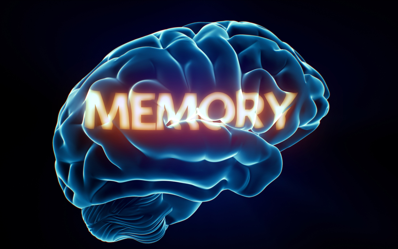 What Are Memory Techniques? A Complete Beginner's Guide