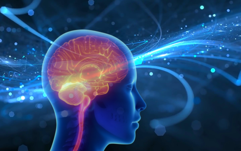 How the Brain Learns: The Science Behind Effective Learning